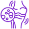 Rheumatology image